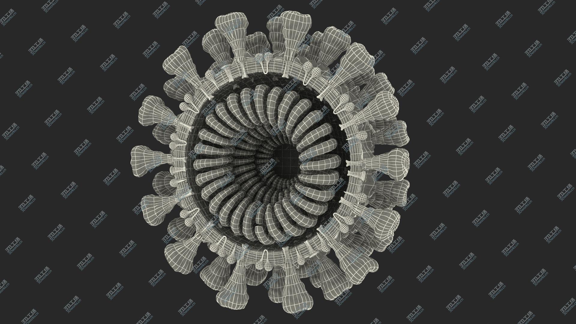 images/goods_img/20210313/Coronavirus 2019-nCoV SARS-CoV-2 Cross Section 3D/3.jpg
